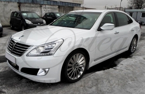 Аренда Hyundai Equus в Белгород