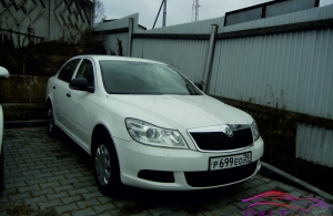 Аренда Skoda Octavia в Калининграде