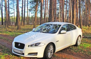 Аренда Jaguar XF в Воронеже