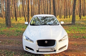 Аренда Jaguar XF в Воронеже