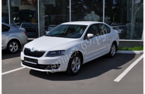 Аренда Skoda Octavia в Тверь