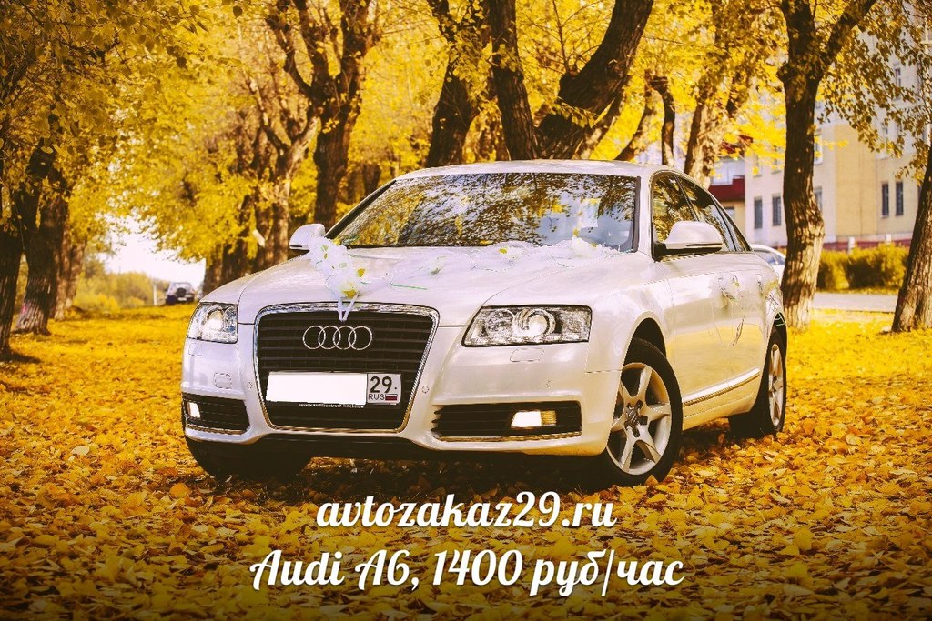 дорогие машины архангельска. север авто ярославль. дорогие машины архангельска. номера авто архангельск. аренда машины в архангельске без водителя.