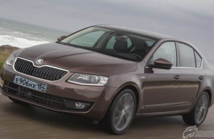 Аренда Skoda Octavia в Новосибирске