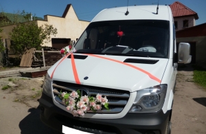 Аренда Mercedes-Benz Sprinter в Пенза