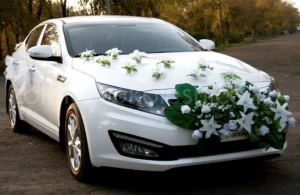 Аренда Kia Optima в Пенза