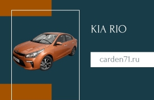 Аренда Kia Rio в Тула